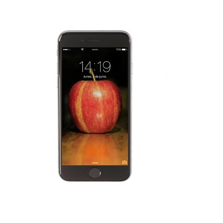 Apple IPhone 6 64GB-Gris Espacial